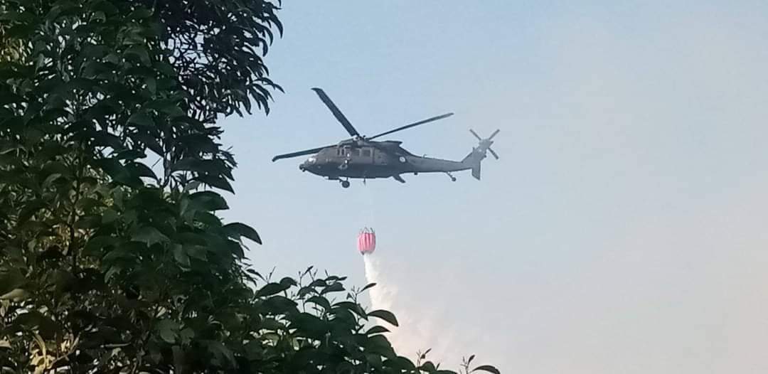   بعد ان اندلع مرة ثانية.. ارتفاع  الخسائر الى 100 هك  والجيش الوطني يتدخل لاطفاء حريق  غابات سجنان