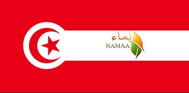 يوم قبل جلسة قضية "نماء" أمام دائرة الاتهام.. هيئة الدفاع ترد على مستندات استئناف النيابة العمومية