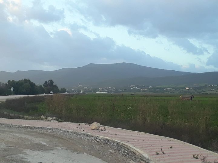 بنزرت.. اندلاع حريق بجبل طورو