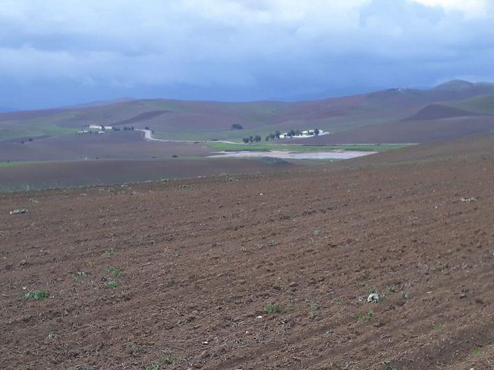  السيطرة على حريق جبل طورو ببنزرت