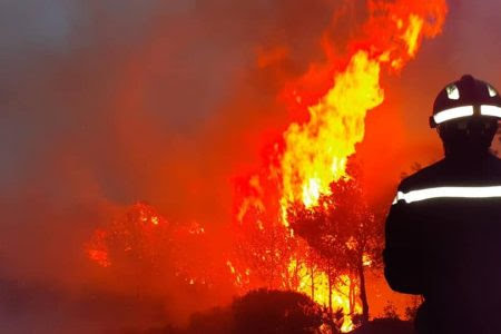 عد السيطرة على حريق "بوقرنين" .. أكثر من 2000 حريق التهمت غاباتنا منذ الثورة..