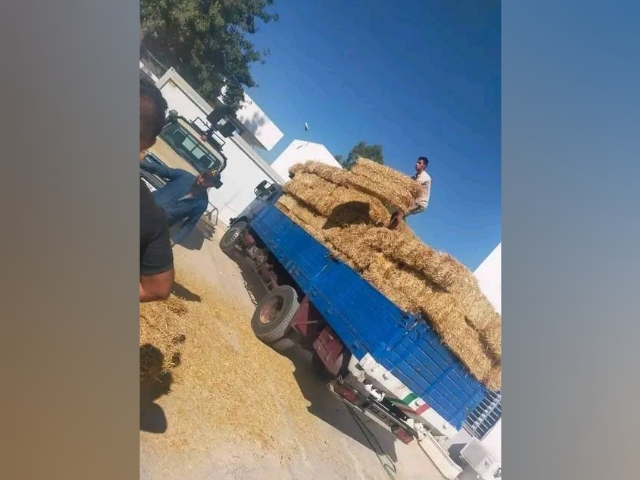 حجز 3000 لتر من البنزين المهرب بغارالدماء