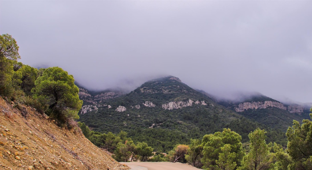 الوسلاتية..آندلاع حريق ثان في جبل السرج..؟!