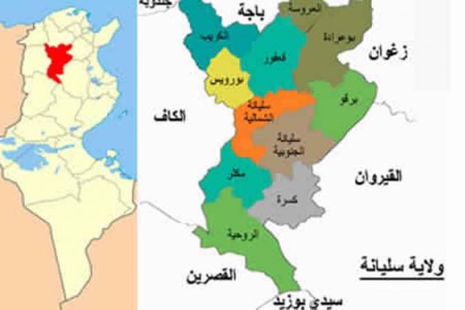  سليانة.. اندلاع حريق بجبل البياض وتسخير طائرة عسكرية للإطفاء