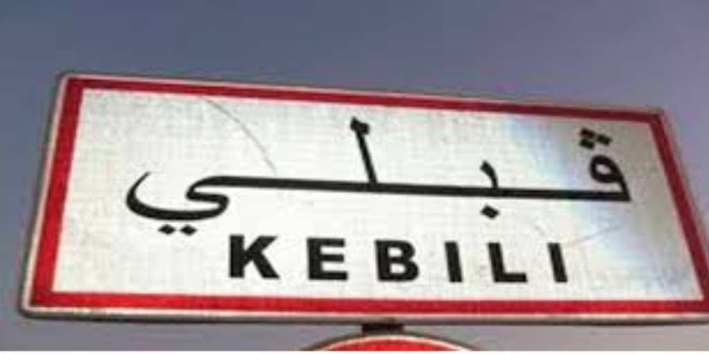 قبلي.. انطلاق التصويت في الاستفتاء على الدستور  مع تاخر نسبي بمكاتب مركز مدرسة النجاح 