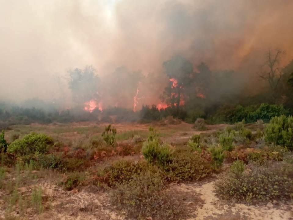 احتواء حذر لحرائق سجنان