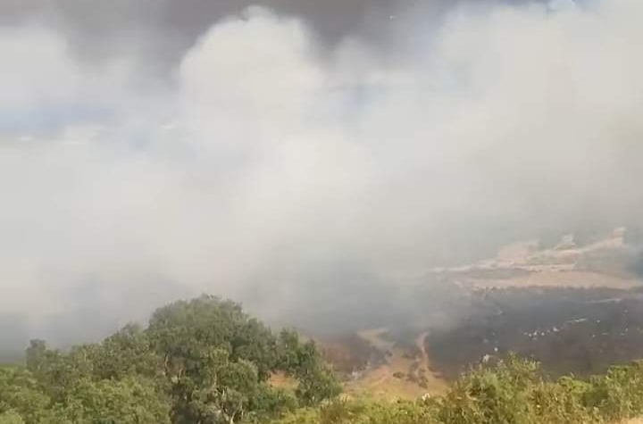 نابل.. وحدات الحماية المدنية تتمكن من السيطرة على حريق جبل سيدي عبد الرحمان 