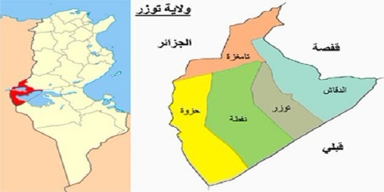 توزر-استفتاء.. 93,34 % من الناخبين يصوتون بـ"نعم" لفائدة مشروع الدستور الجديد 