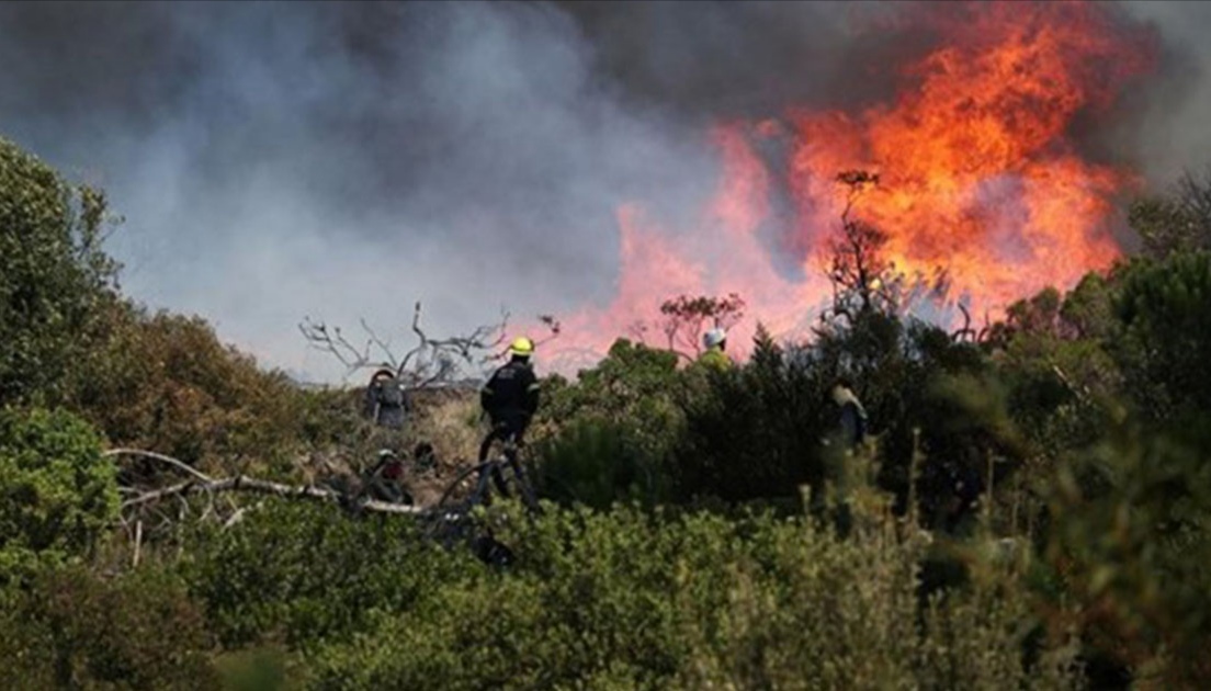المدير الجهوي للحماية المدنية بسليانة: يمكن السيطرة نهائيا على حريق جبل برقو اليوم 