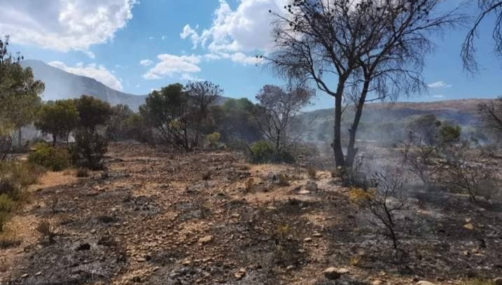 رغم صعوبة التضاريس ..إخماد حريق جبل السرج