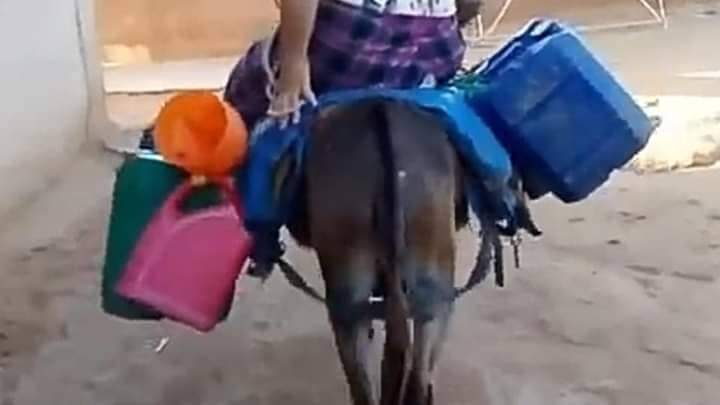 الحمامات.. عدد من المناطق الريفية دون ماء صالح للشراب 