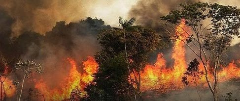  الوسلاتية..حريق جديد في جبل السرج و المساعي حثيثة للسيطرة عليه