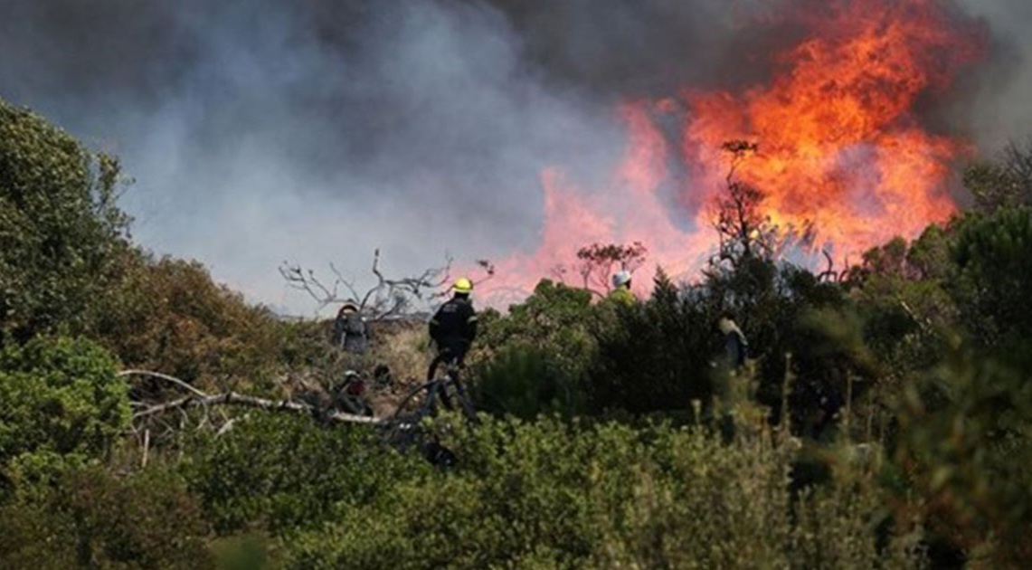 سليانة: السيطرة على حريق اندلع بجبل عين زكار من معتمدية برقو...