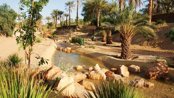 توزر.. فلاحون يشتكون عدم اكتمال مد قنوات الري وعدم انتفاعهم بالدورة المائي