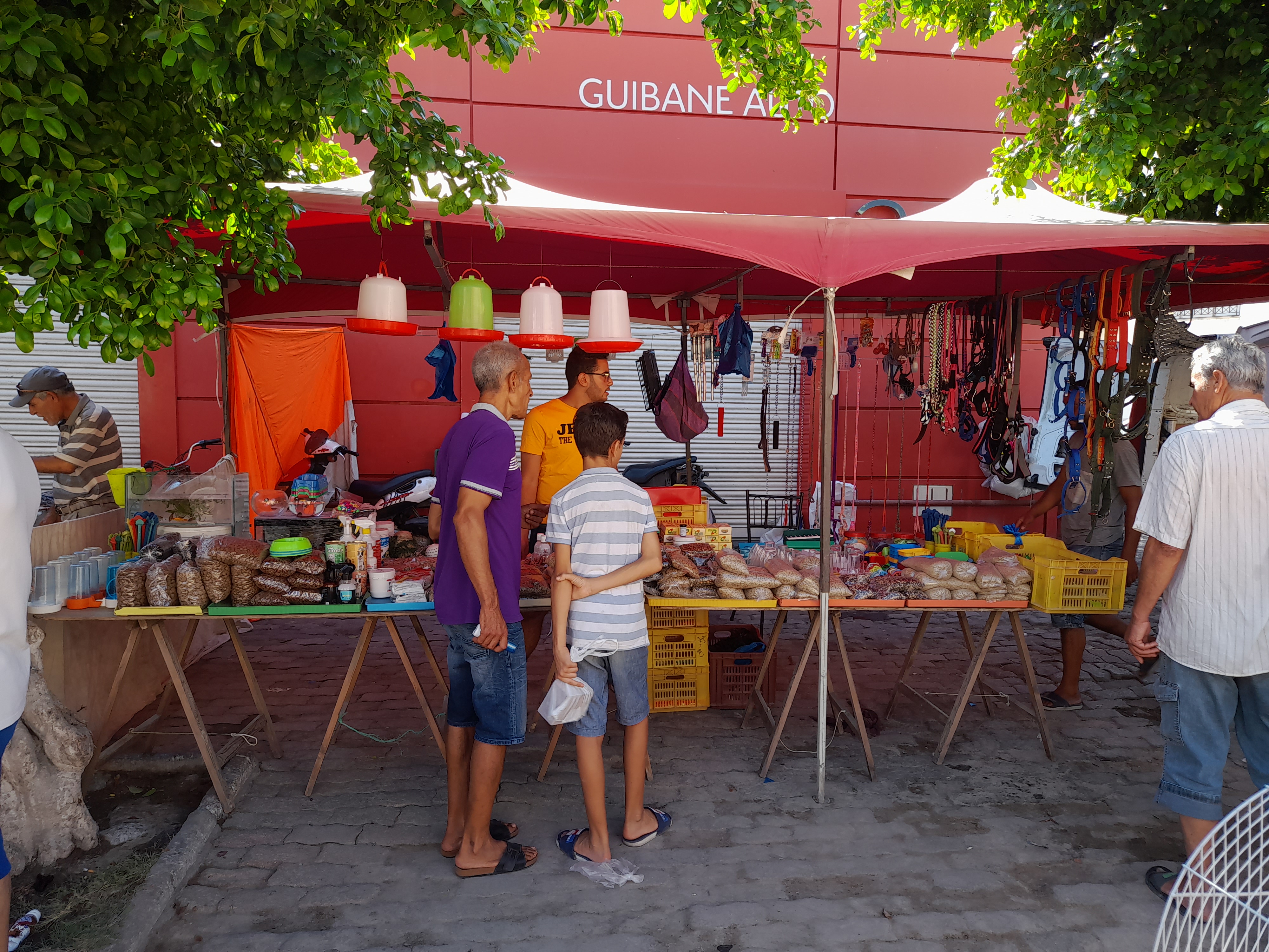   سوق الطيور بسوسة ..قبلة الزوّار والمغرمين بهذا العالم 