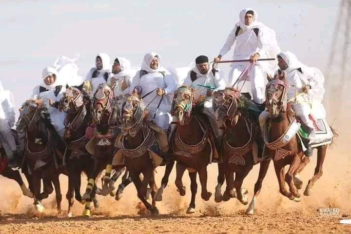 يجمع بين الفروسيه والعروض الفنية..انطلاق مهرجان سيدي علي بن عون الدولي