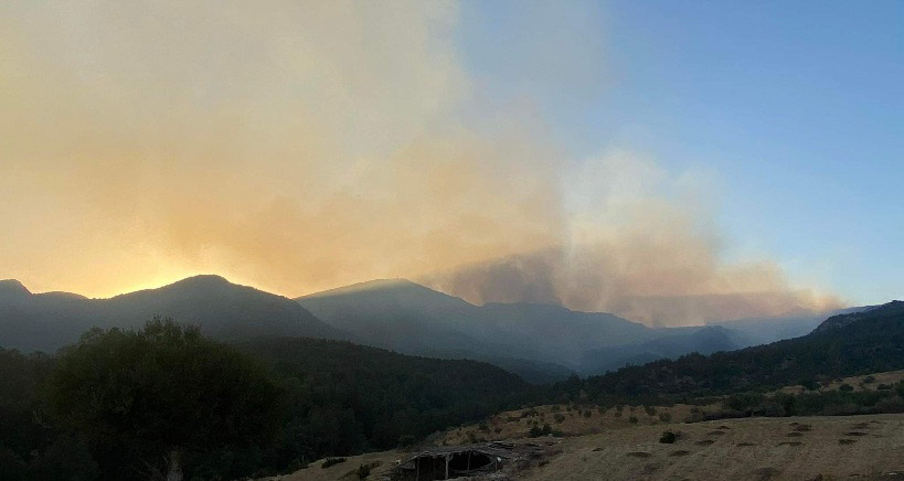    اندلاع حريق بجبال الحمامات