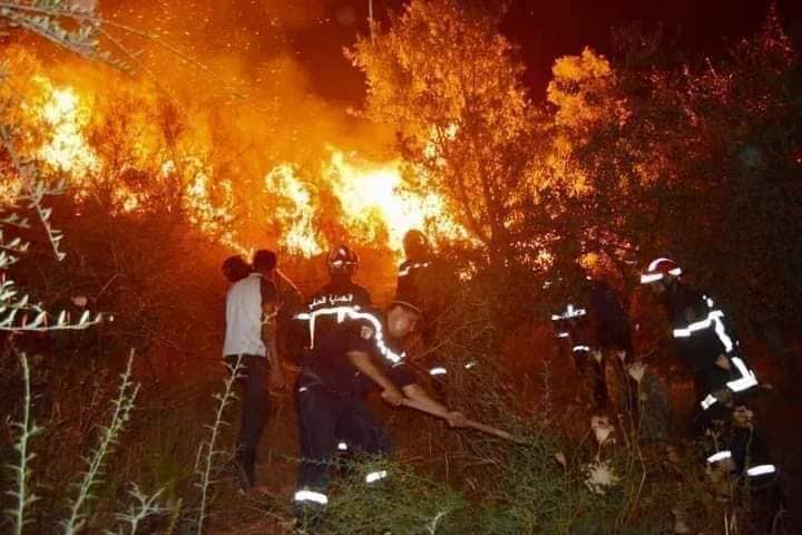 ارتفاع حصيلة حرائق الغابات في شمال الجزائر إلى 26 قتيلًا