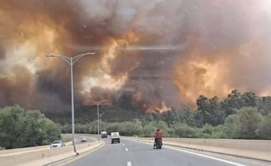 يوم حزين في الجزائر.. عشرات الضحايا في حرائق شرقي البلاد
