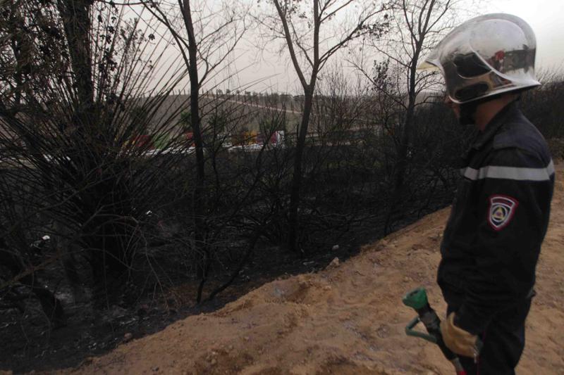 الجزائر: ارتفاع وفيات حرائق الغابات إلى 30 شخص