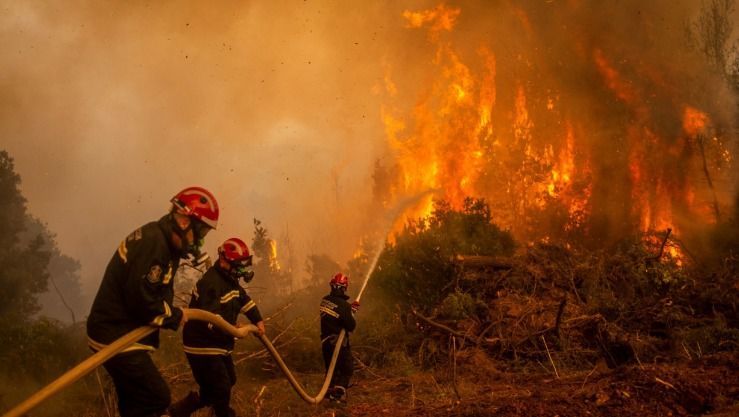 39 حريقا.. 26 وفاة  وعشرات الإصابات.. حصيلة أولية لـ "الأربعاء الأسود" في الجزائر..