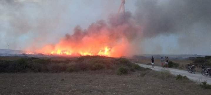 الهوارية .. القبض على مشتبه به مورط في اندلاع  حرائق غابة بوكريم