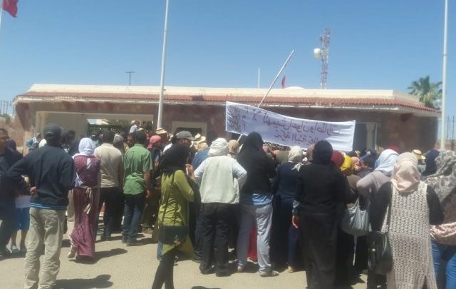 الحكومة تتجه نحو حل عدد منها..  15600 انتداب وهمي خلقتها حكومات ما بعد الثورة في شركات البيئة والغراسة والبستنة 
