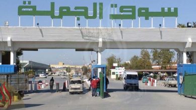    الرئيس المدير العام لأسواق الجملة لـ"الصباح": نظام الفوترة الالكترونية أغلق جميع نوافذ التلاعب بالأسعار