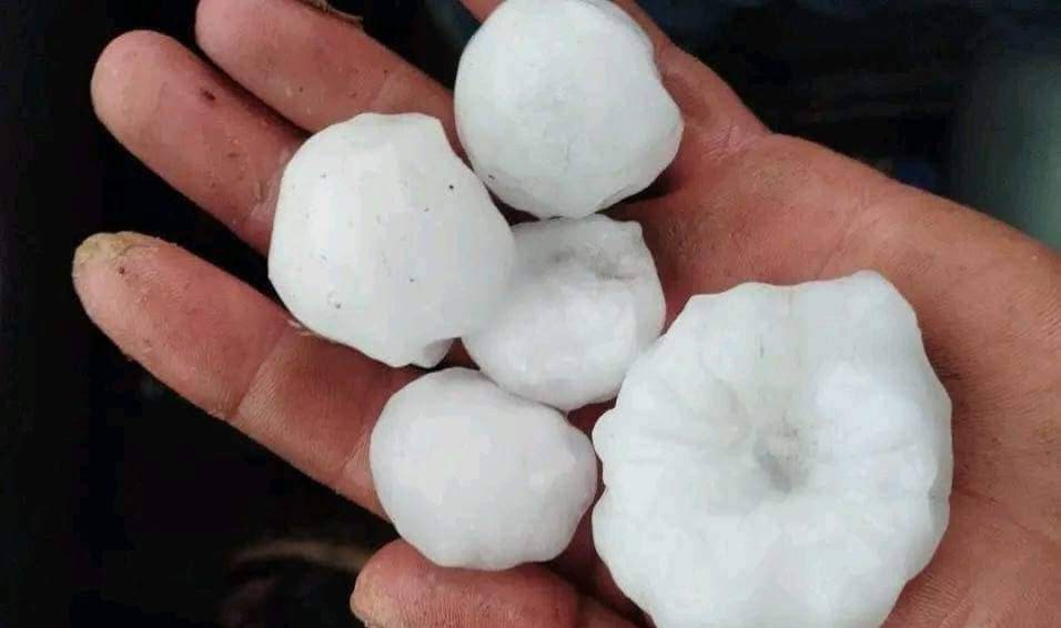  كندار ..أمطار مصحوبة بتساقط البرد تخلف أضرارا   