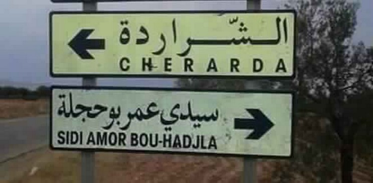 الشراردة.. إيقاف مروج بحوزته 30 قطعة "زطلة"