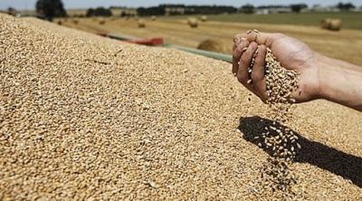 واردات تونس من الحبوب تقفز 45.5 بالمائة في تسعة أشهر