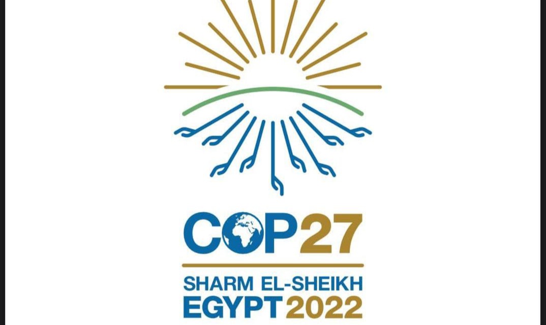 نشطاء المناخ يخشون تقييد أصواتهم في قمة "كوب 27" بمصر