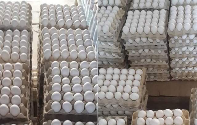 تواصل ازمة البيض في منزل بورقيبة 