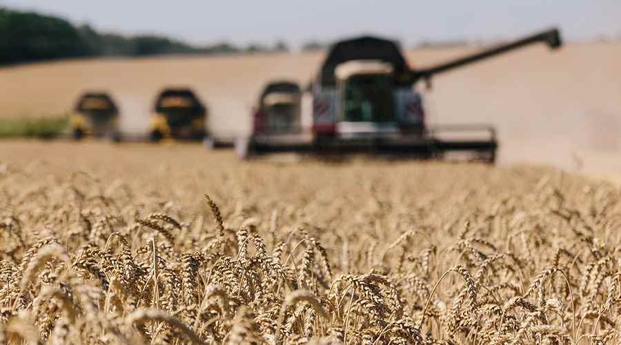 على خلفية قرار موسكو تعليق المشاركة في صفقة الحبوب.. الأمم المتحدة تتحرك