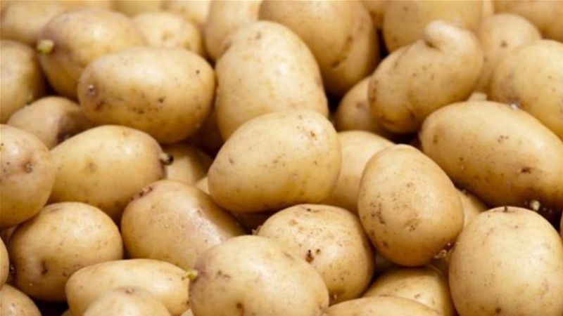 القصرين.. حجز 5.5 أطنان من البطاطا