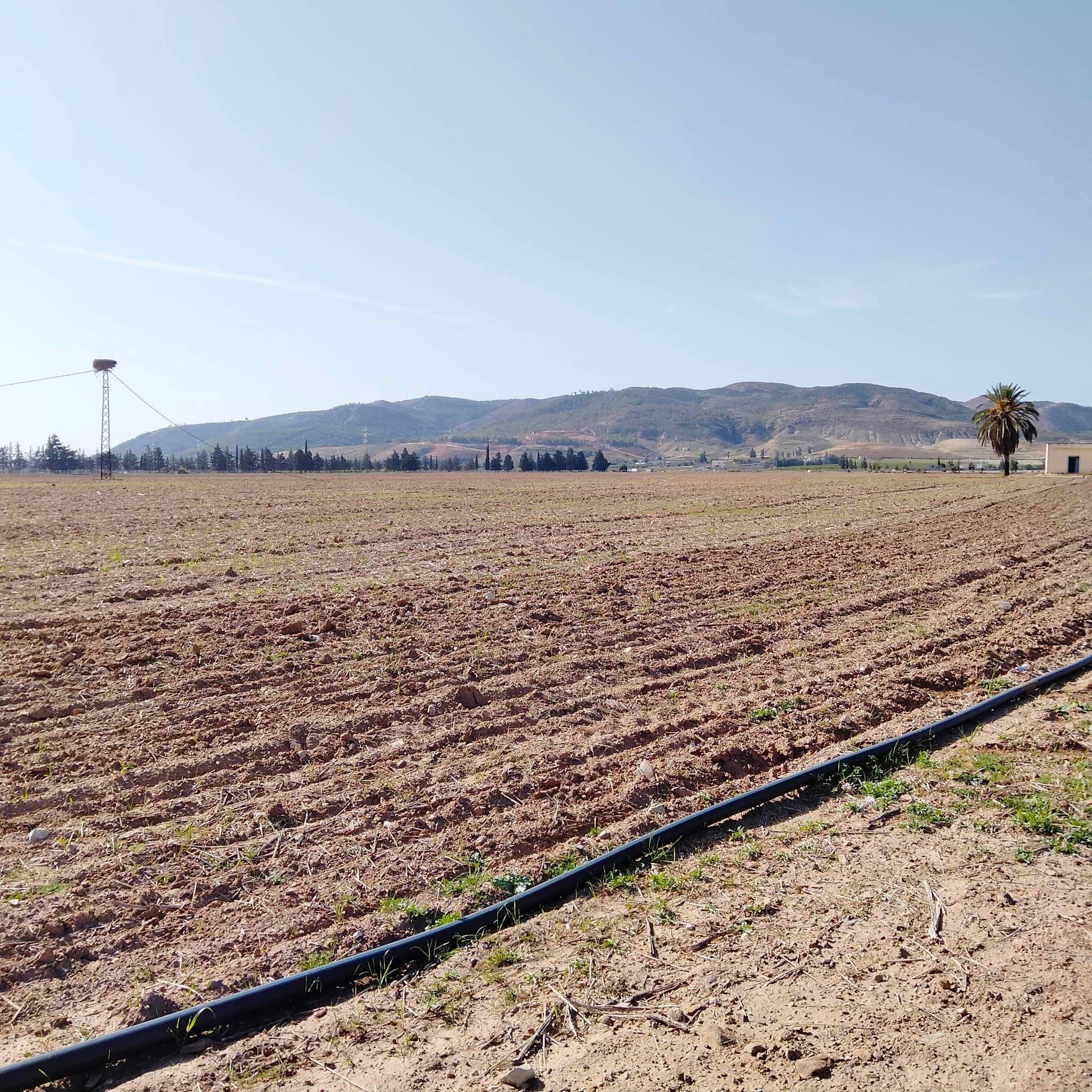 منوبة.. استرجاع ضيعة دولية فلاحية