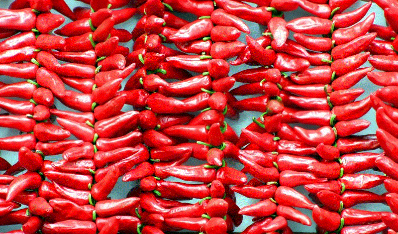 الهريسة التونسية من بينها  ..  ترشيحات عربية جديدة لقائمة اليونسكو للتراث العالمي غير المادي