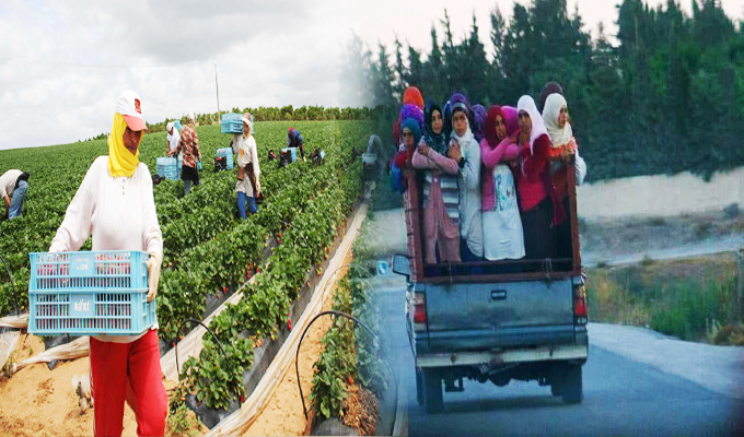 خلفت 5 مصابات  .. الطريق "يستهدف" من جديد العاملات الفلاحيات.. والقانون 51 لم يغير من الواقع شيئا