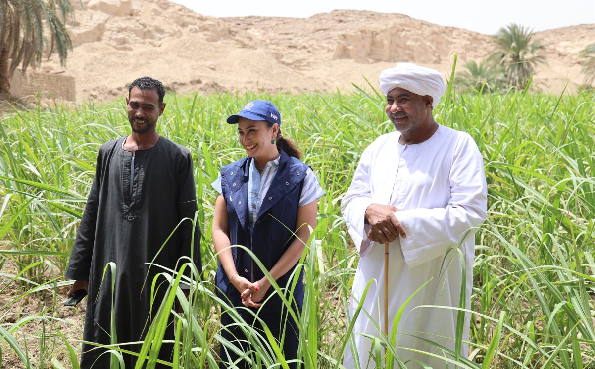 مقاومة الجوع في العالم  من أجمل أدوار هند صبري