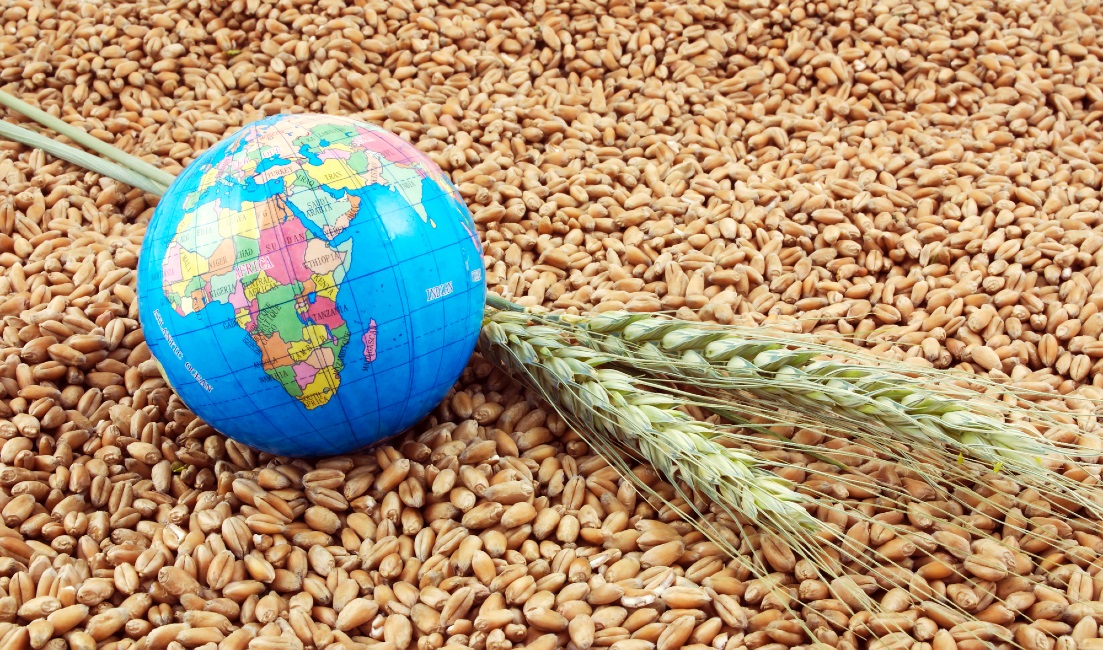 وزراء الزراعة في دول العالم يؤكدون على هدف الأمن الغذائي العالمي