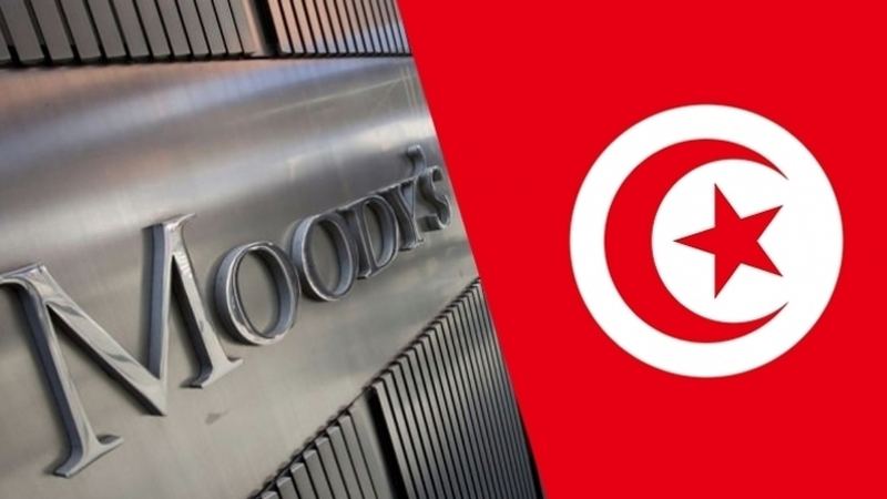   "موديز" تخفض مجددا للتصنيف السيادي لتونس..  خبراء يطلقون صيحة فزع.. والحل في إصلاحات عاجلة واتفاق مع صندوق النقد 