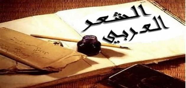 السعودية تعلن 2023 "عام الشعر العربي"
