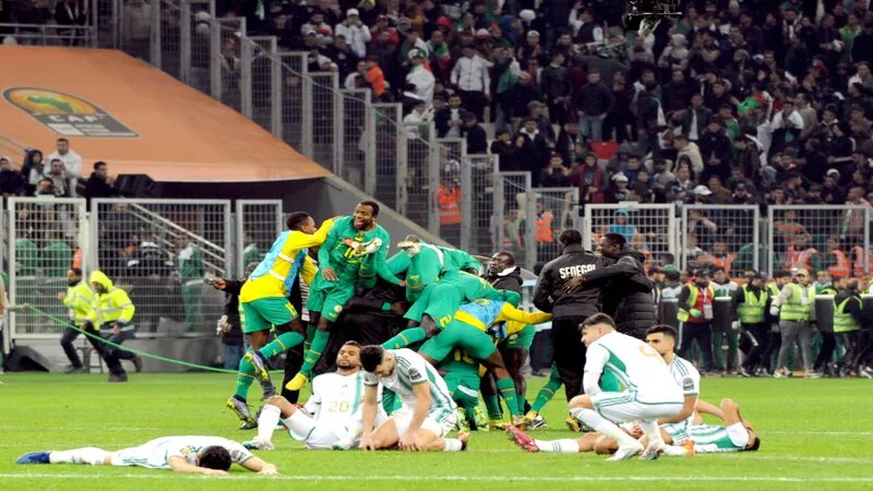 الجزائر وقبلها مصر.. هل باتت السنغال "عقدة" العرب في كرة القدم؟