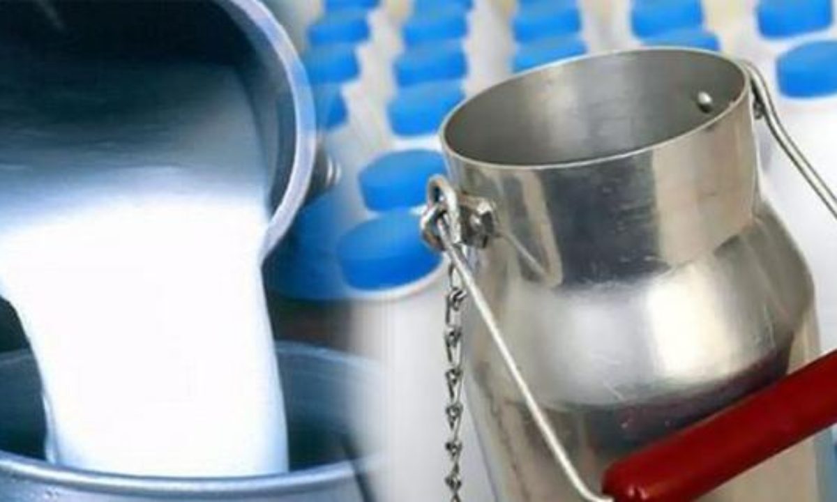 رئيس غرفة مراكز تجميع الحليب لـ"الصباح نيوز": الزيادة ب200 مليم في سعر لتر الحليب "قديمة"  ..وهذا ما ينتظرنا في رمضان  !