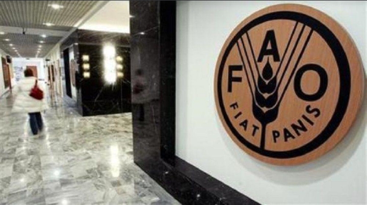 "الفاو": انخفاض أسعار الغذاء العالمية 19%