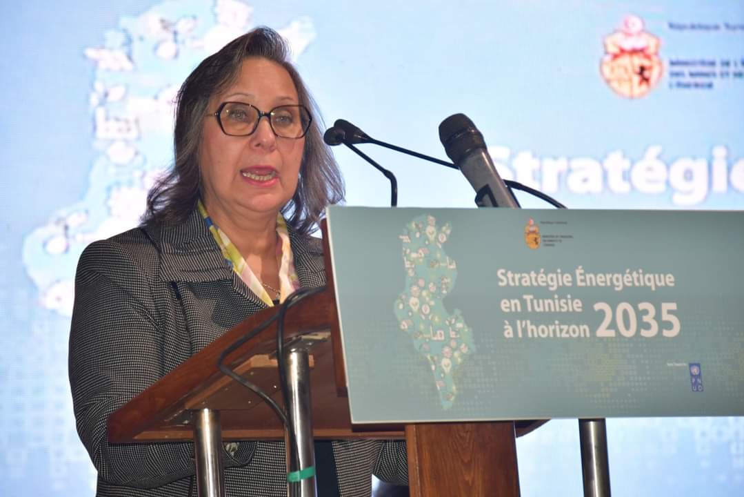 تونس وضعت إستراتيجيتها للطاقة في أفق 2035 : 55  مليار دينار لتحقيق الأمن الطاقي والنهوض بالاقتصاد الأخضر