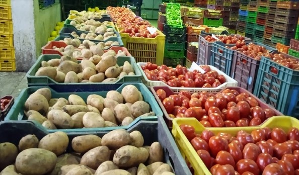 شدّدت على مراقبة مسالك التوزيع .. التجارة تضبط أسعار بعض الخضر والغلال