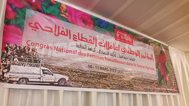  عاملات القطاع الفلاحي: نطالب بضرورة التعجيل بمراجعة التشريعات والقوانين