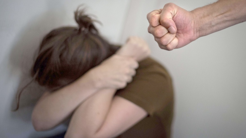 المادة 19:  الثقافة الرقمية في مواجهة العنف المسلط على النساء والفتيات