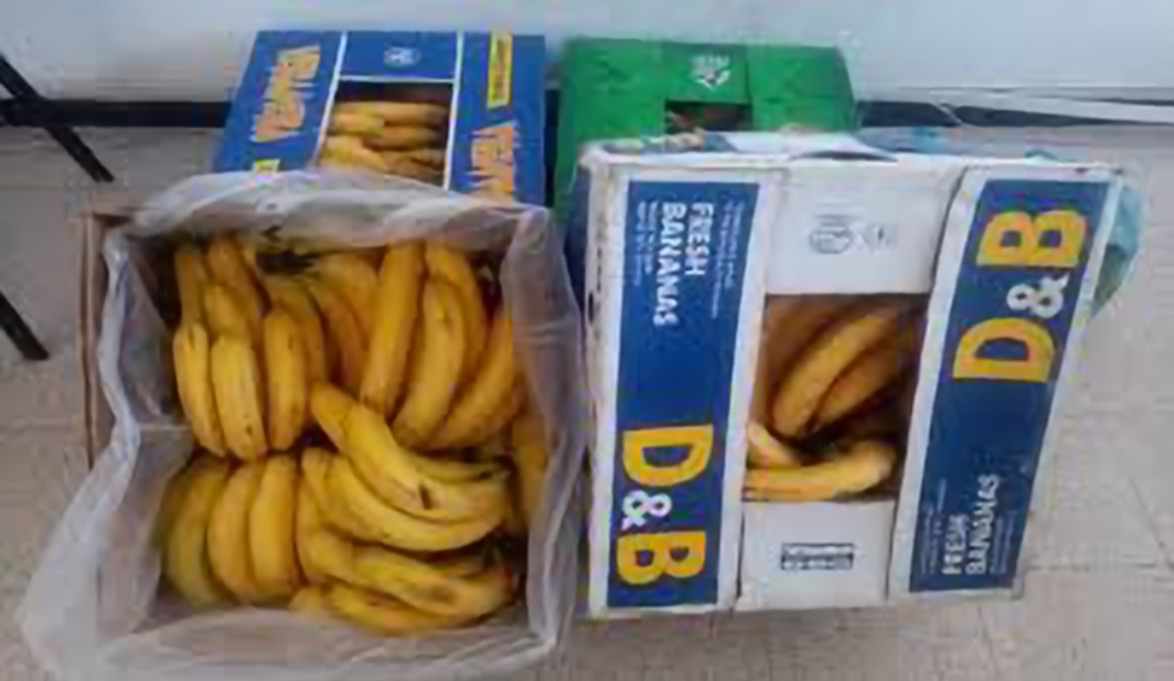 بن عروس..الكشف عن مخزنين عشوائيين وحجز 56 طن من الموز